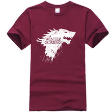 Load image into Gallery viewer, Game of Thrones &#39;&#39;Winter is Coming&quot; T-Shirt 3