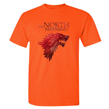Load image into Gallery viewer, Game Of Thrones ''North Remembers'' T-Shirt 3